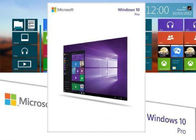 Global Olarak Orijinal Windows 10 Professional Oem, Microsoft Windows 10 Pro OEM Yazılımı